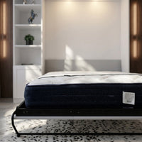 Douglas Queen Murphy Bed with One Side Cabinet